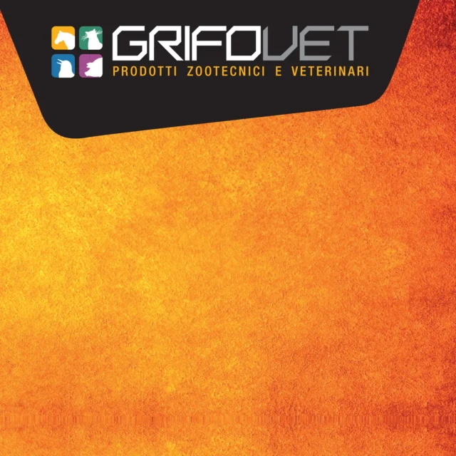 Logo Grifovet (zootecnia), 2005 – progettato da Mancinelli Design