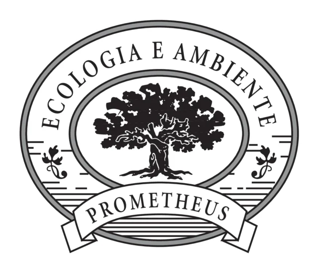 Logo Prometheus (ecologia ambiente), 1993 – progettato da Mancinelli Design