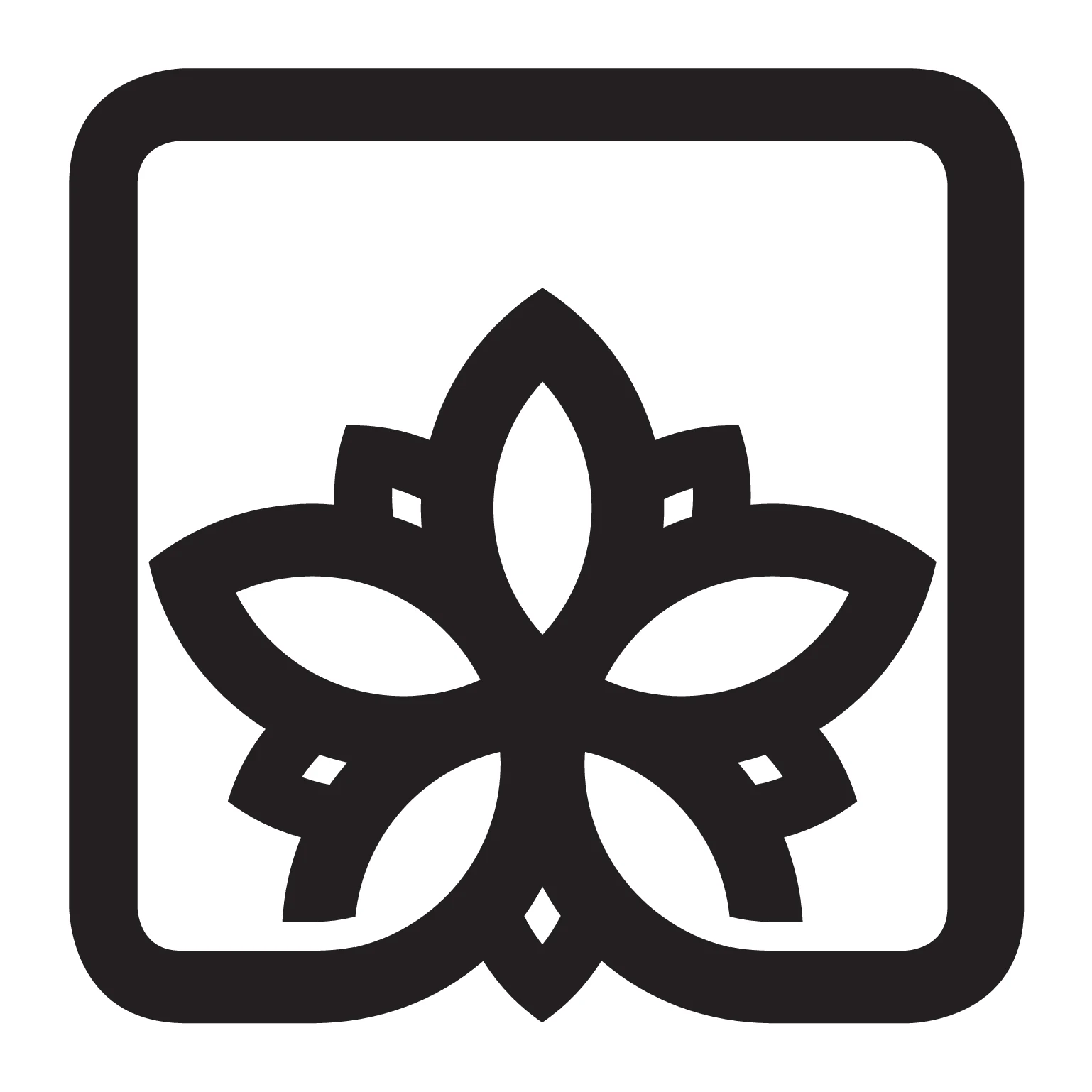Logo Stella della Montagna (maglificio), 1981 – progettato da Mancinelli Design