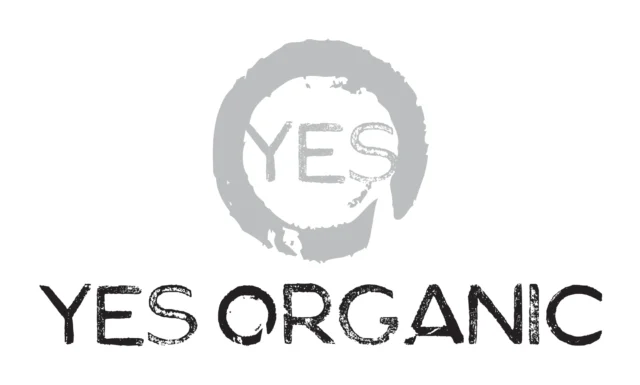 Logo Yes Organic (produzione olio bio), 2012 – progettato da Mancinelli Design